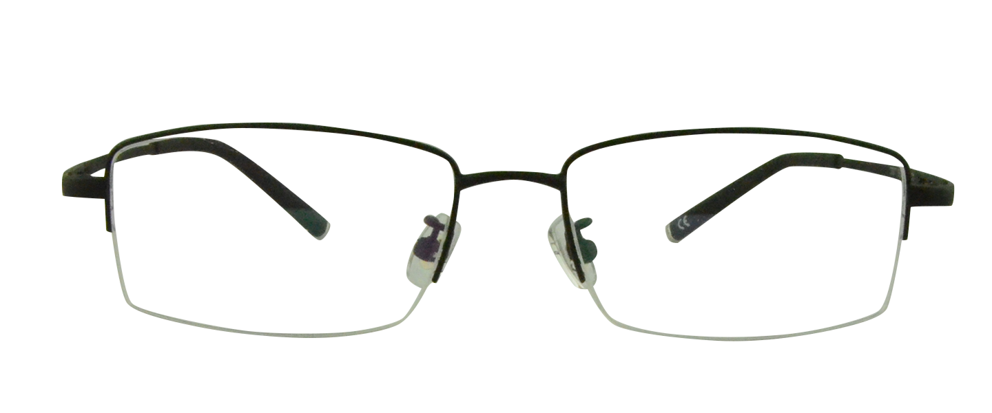 T3301 Titanium Glasses B1