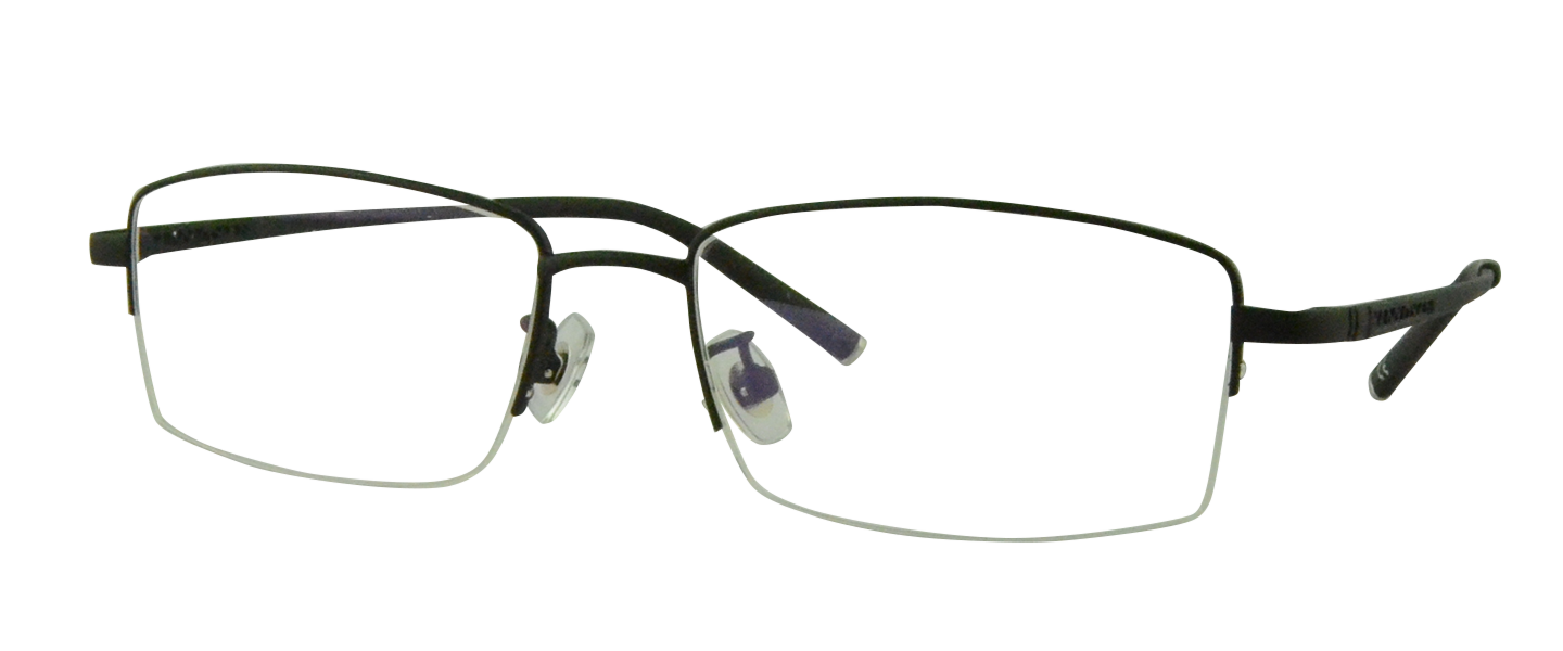 T3301 Titanium Glasses B1