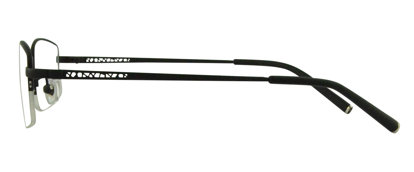 T3301 Titanium Glasses B1