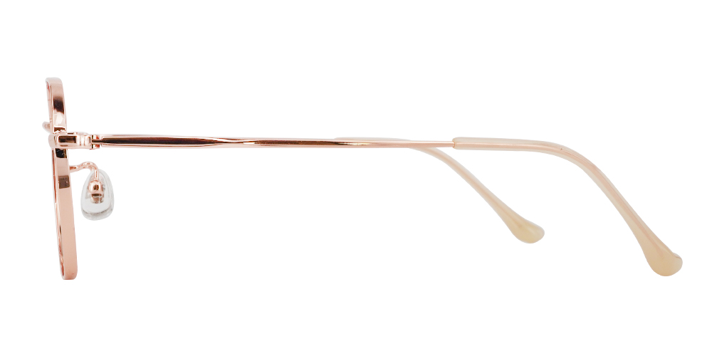 91091-G Rx Titanium Glasses