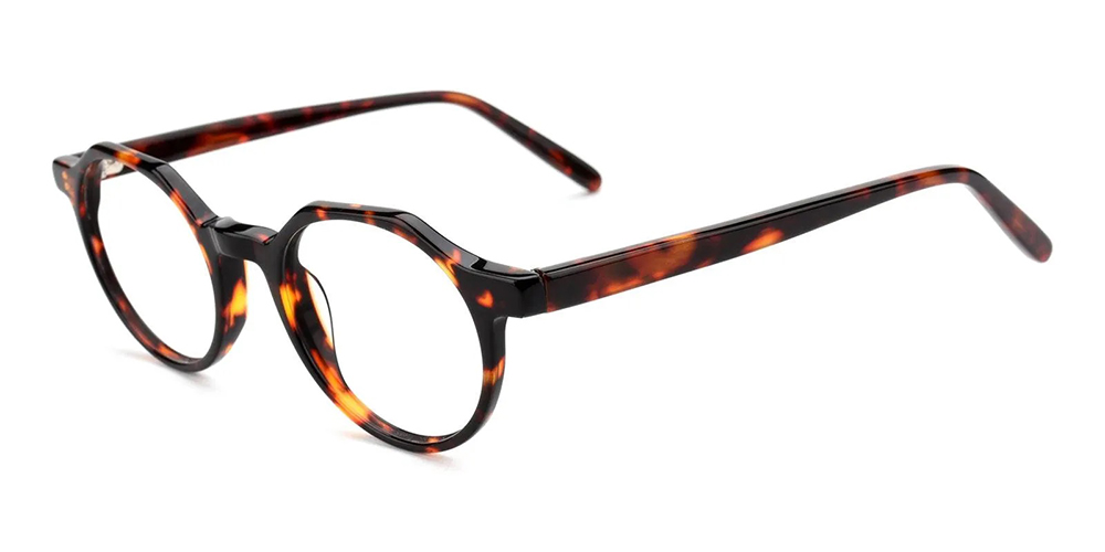 Eggertsville Prescription Glasses Tortoise Acetate - Spring Hinge