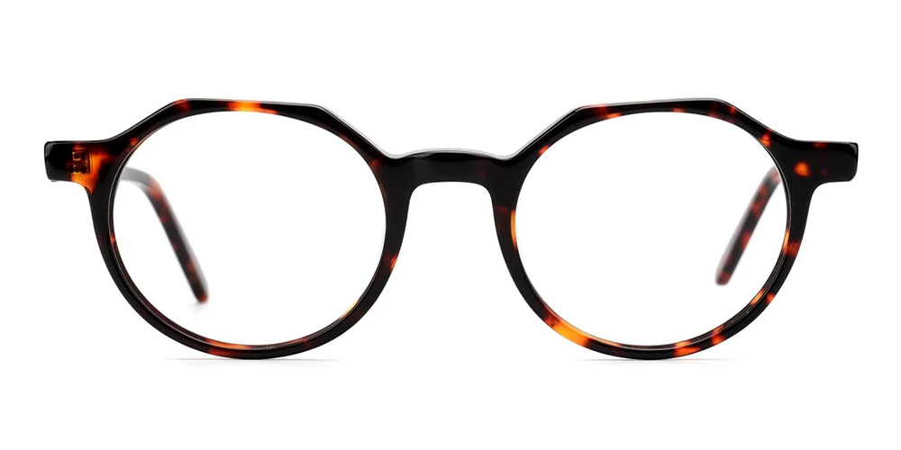 Eggertsville Prescription Glasses Tortoise Acetate - Spring Hinge
