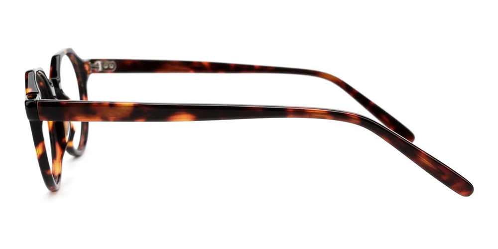 Eggertsville Prescription Glasses Tortoise Acetate - Spring Hinge