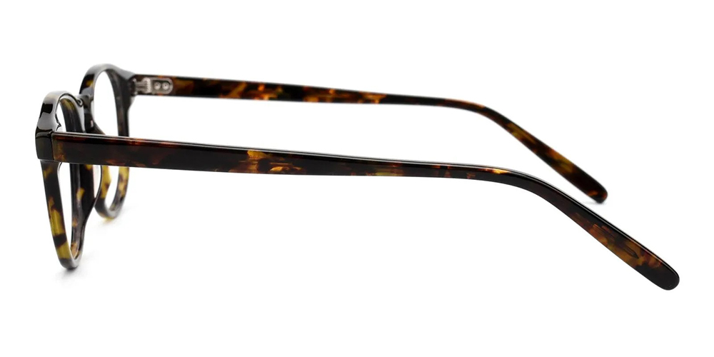 Farmingville Prescription Glasses Tortoise Acetate - Spring Hinge