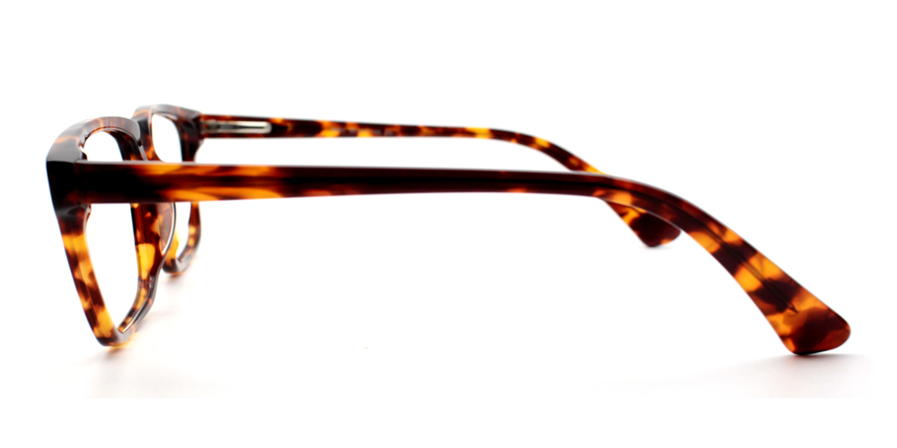 Levan Eyeglasses Tortoise