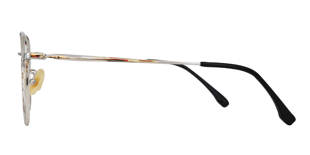 D62039-S Rx Titanium Glasses