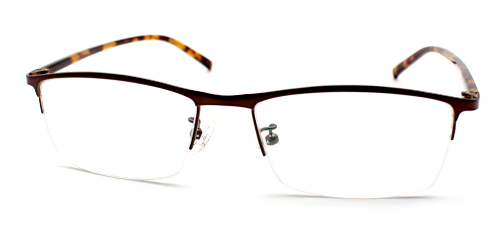 Eden Metal Eyeglasses Demi