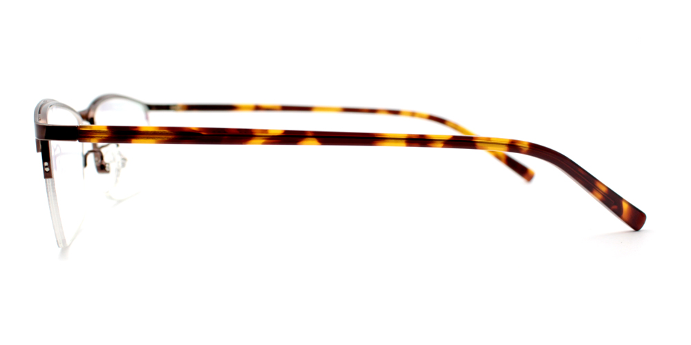 Eden Metal Eyeglasses Demi