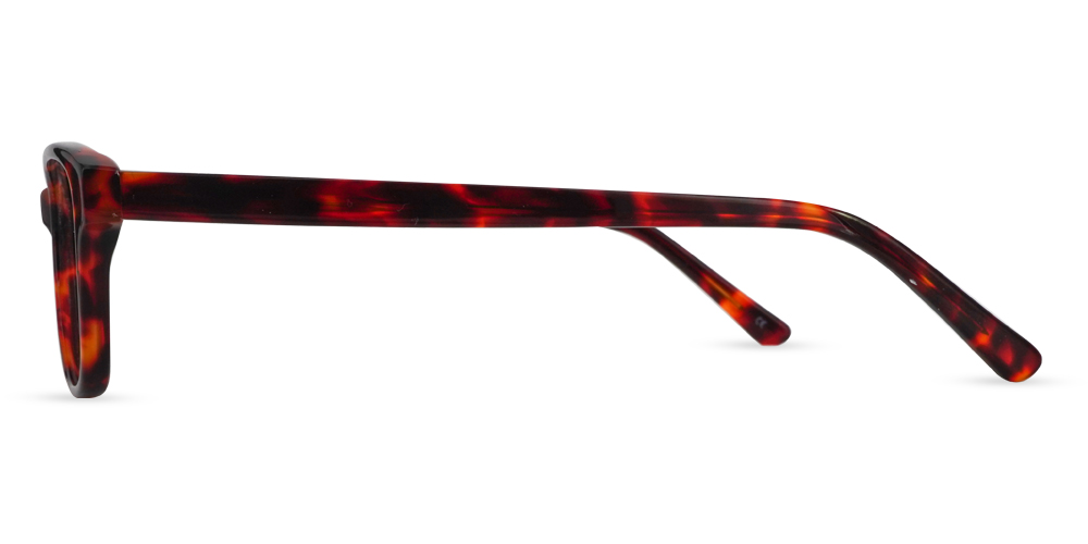 S6673 Rx Computer Glasses