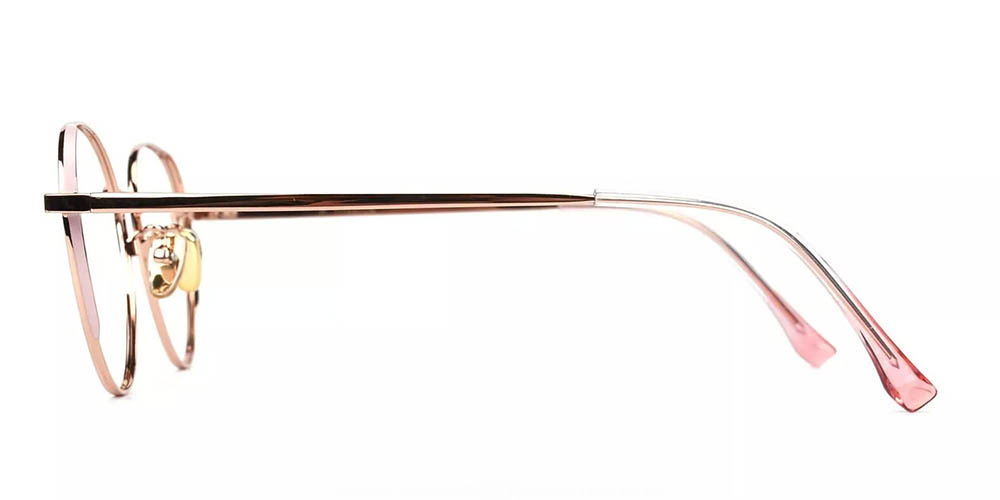 T3927 Titanium Prescription Glasses Gold