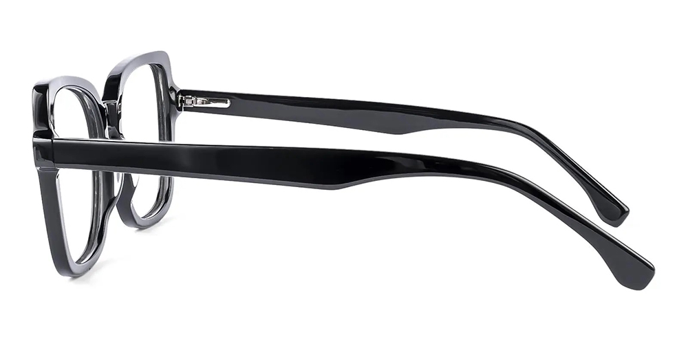 TS6605 Prescription Glasses Black - Spring Hinge