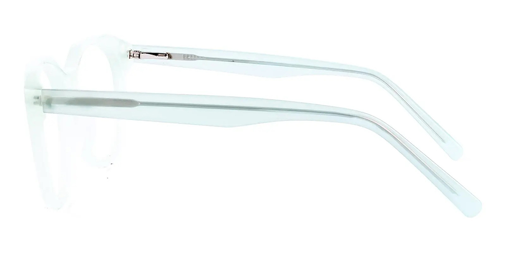 TS6606 Prescription Glasses Green - Spring Hinge