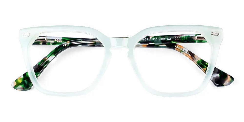 TS6609 Prescription Glasses Green - Spring Hinge