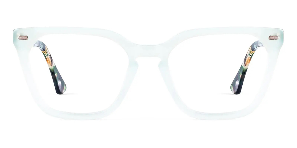 TS6609 Prescription Glasses Green - Spring Hinge