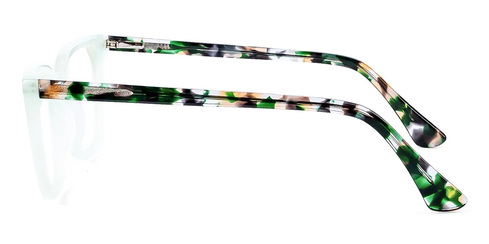 TS6609 Prescription Glasses Green - Spring Hinge